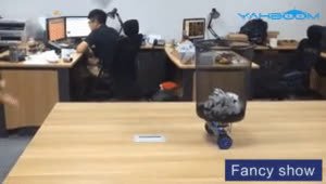 Yahboom_2WD_Arduino_Balance_Robot_Car (1).mp4